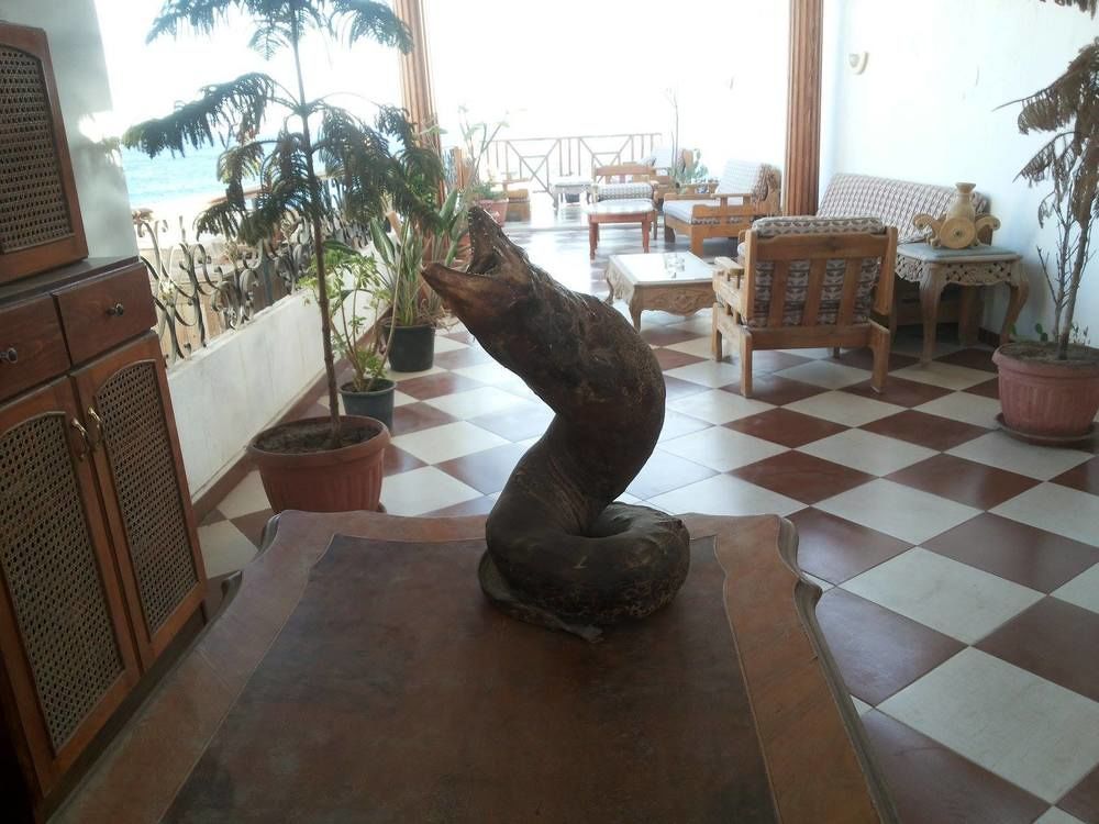 Sea Soul Hotel Dahab Kültér fotó